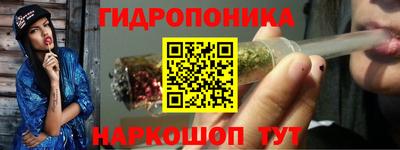 ECSTASY Кимры